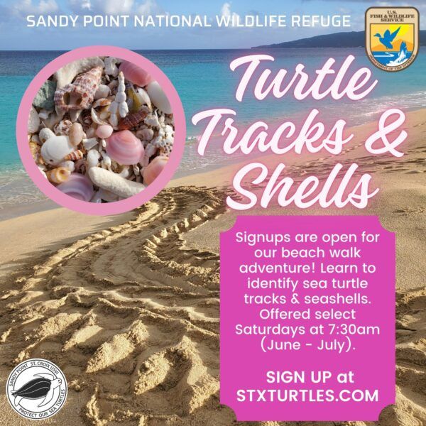 Events from Mon June 23 – Sat June 28 | St Croix Calendar Weekly Events ...