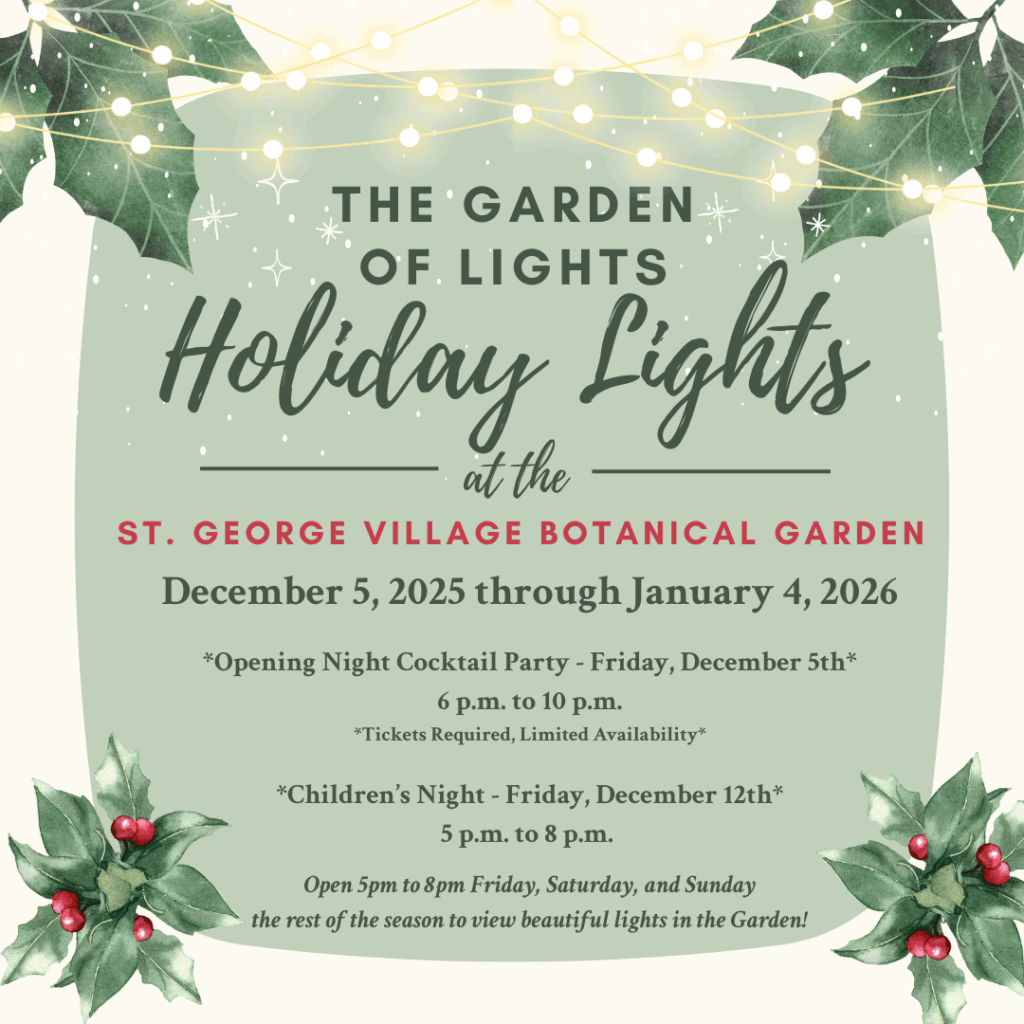 Garden of Lights
