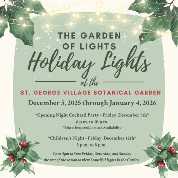 Garden of Lights