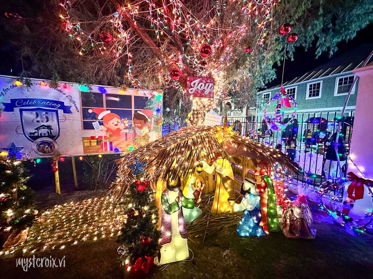 Limpricht Park Tree Lighting