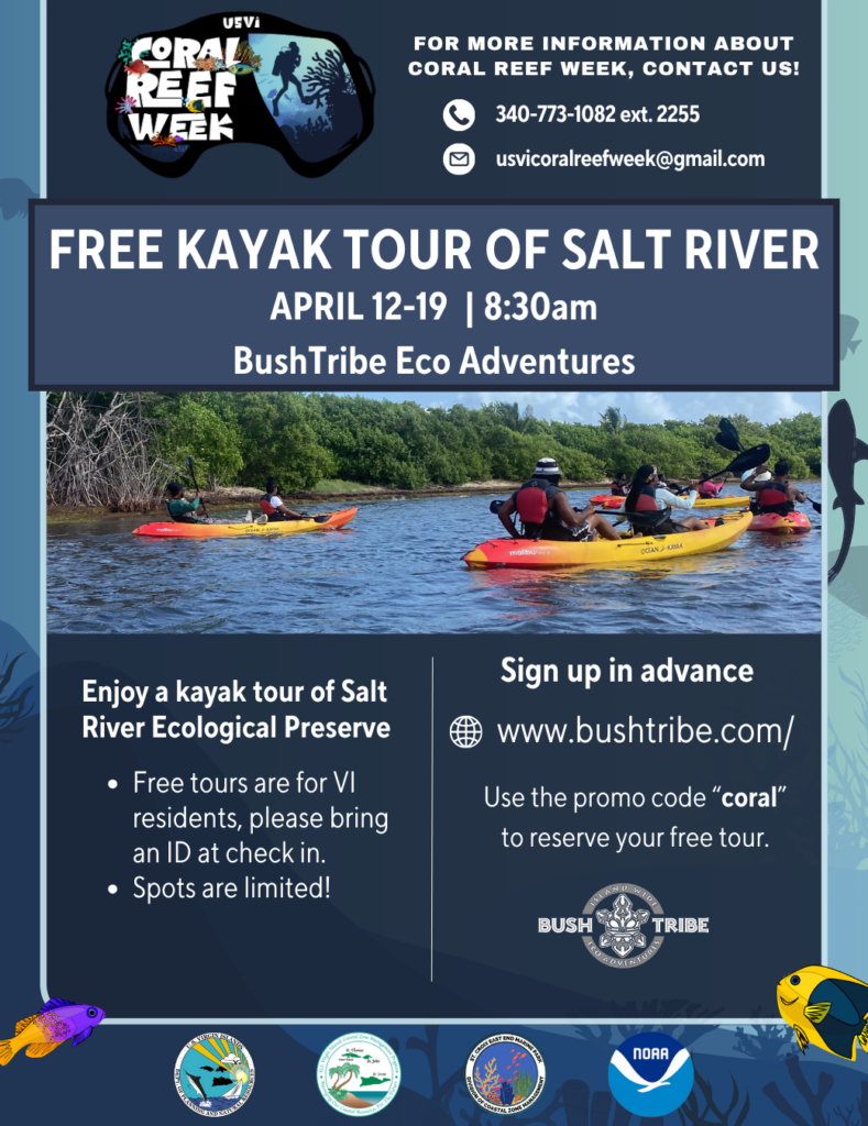 fREE KAYAK TOUR USVI RESIDENTS