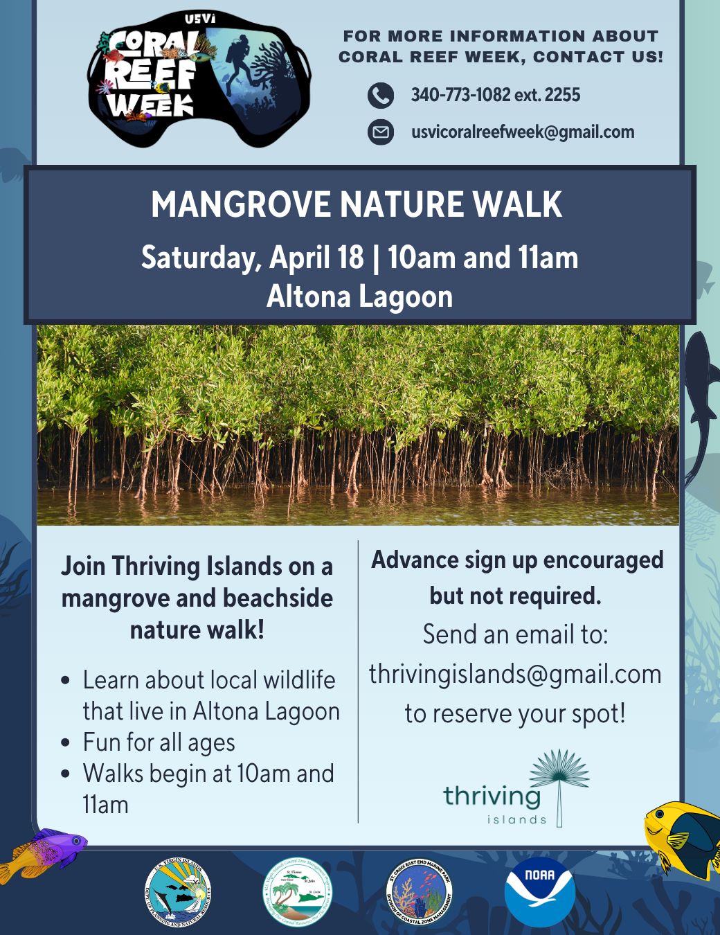 Mangrove Nature Walk