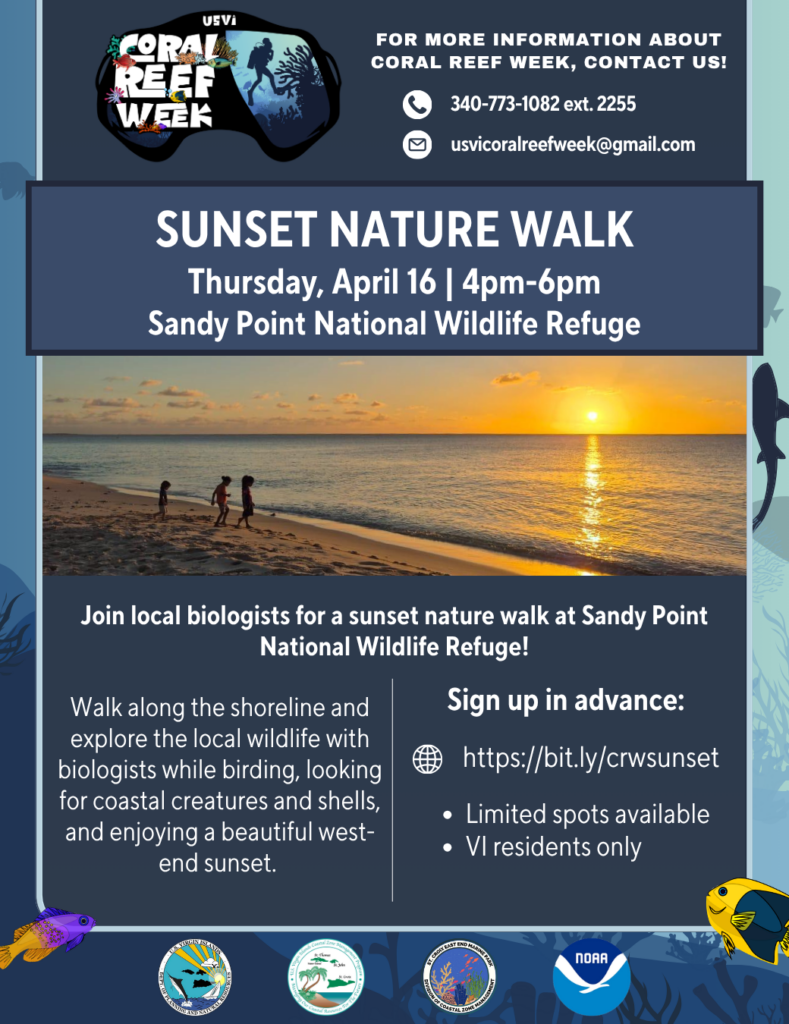 Sunset Nature Walk at Sandy Point
